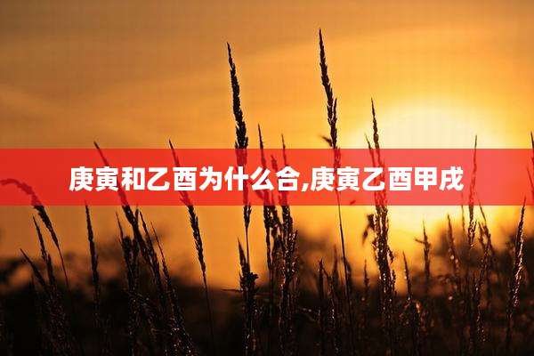 庚寅和乙酉为什么合,庚寅乙酉甲戌