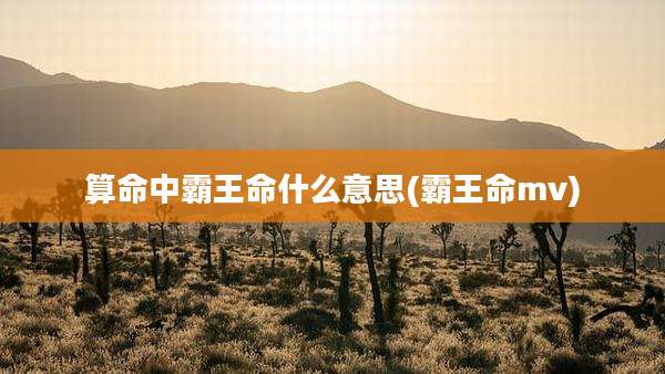 算命中霸王命什么意思(霸王命mv)