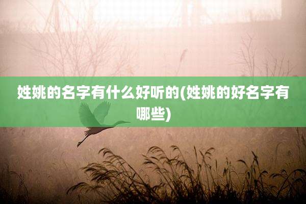 姓姚的名字有什么好听的(姓姚的好名字有哪些)