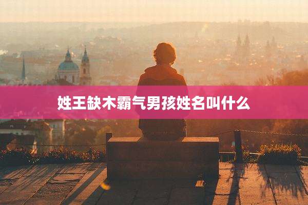 姓王缺木霸气男孩姓名叫什么