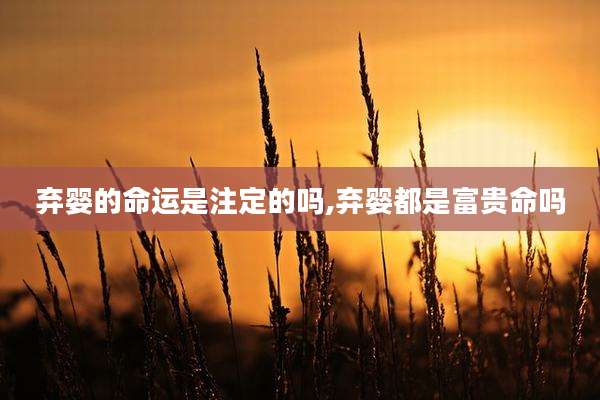 弃婴的命运是注定的吗,弃婴都是富贵命吗