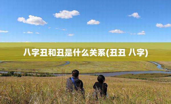 八字丑和丑是什么关系(丑丑 八字)