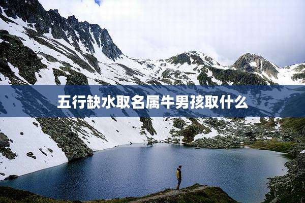 五行缺水取名属牛男孩取什么