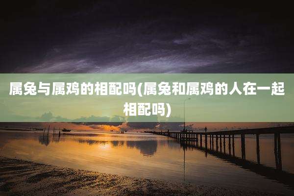 属兔与属鸡的相配吗(属兔和属鸡的人在一起相配吗)