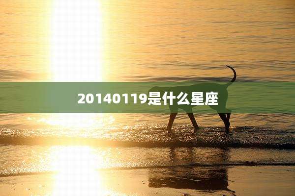 20140119是什么星座