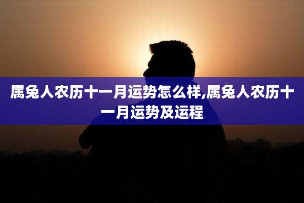 属兔人农历十一月运势怎么样,属兔人农历十一月运势及运程