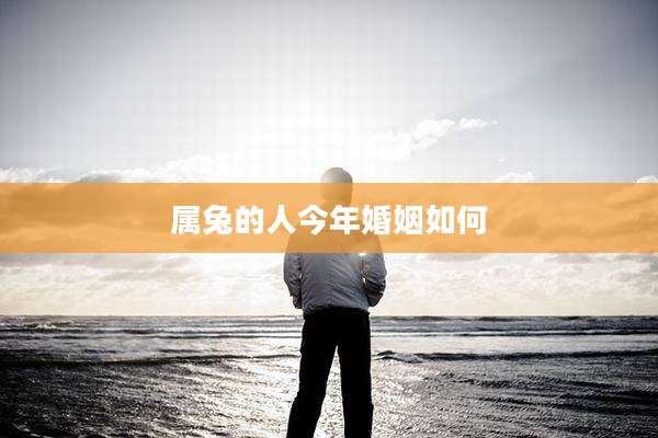 属兔的人今年婚姻如何
