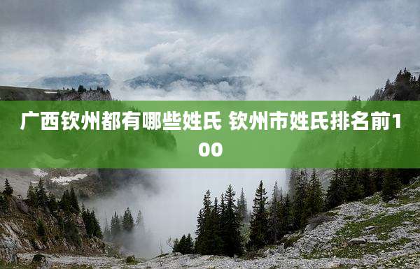 广西钦州都有哪些姓氏 钦州市姓氏排名前100