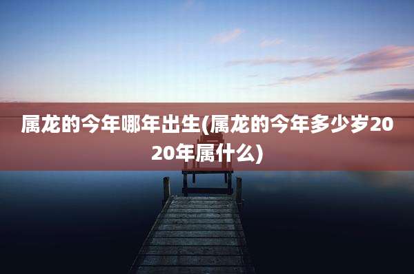 属龙的今年哪年出生(属龙的今年多少岁2020年属什么)