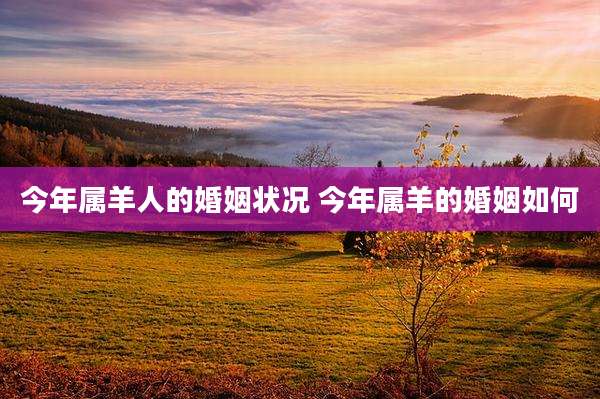 今年属羊人的婚姻状况 今年属羊的婚姻如何