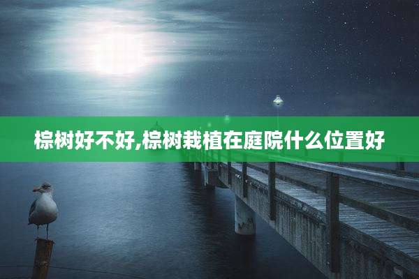 棕树好不好,棕树栽植在庭院什么位置好