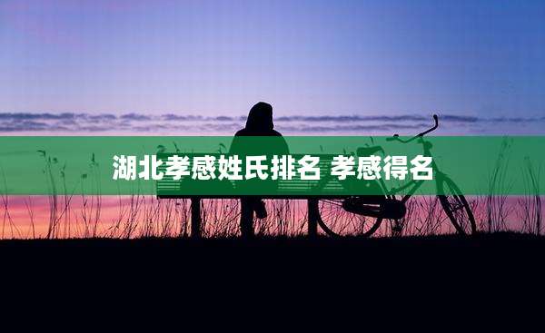 湖北孝感姓氏排名 孝感得名