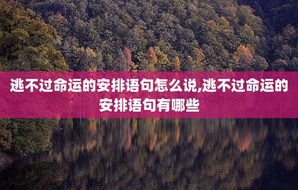 逃不过命运的安排语句怎么说,逃不过命运的安排语句有哪些