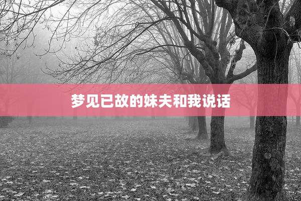 梦见已故的妹夫和我说话
