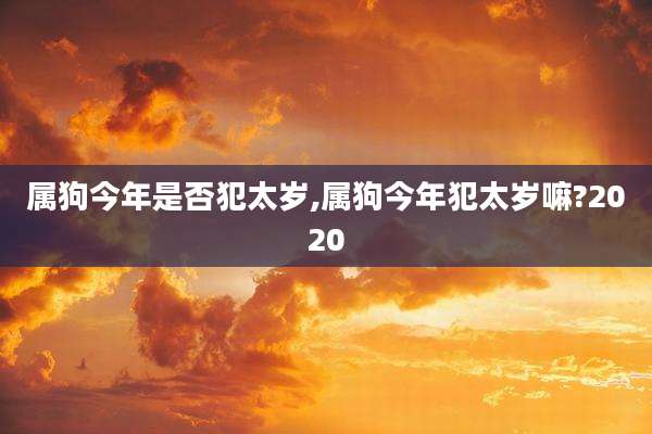 属狗今年是否犯太岁,属狗今年犯太岁嘛?2020