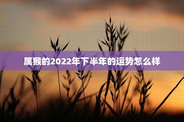 属猴的2022年下半年的运势怎么样
