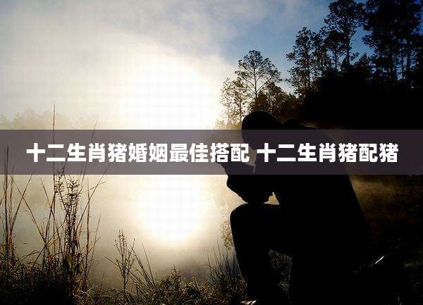 十二生肖猪婚姻最佳搭配 十二生肖猪配猪