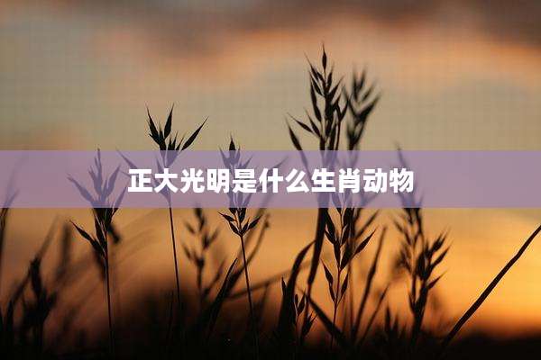 正大光明是什么生肖动物