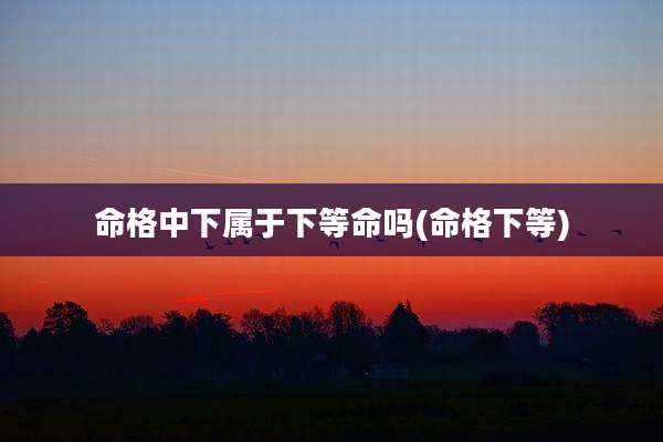 命格中下属于下等命吗(命格下等)