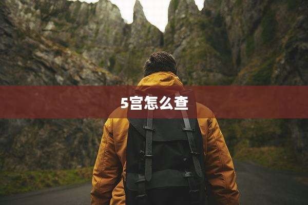 5宫怎么查
