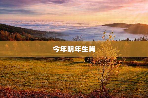 今年明年生肖