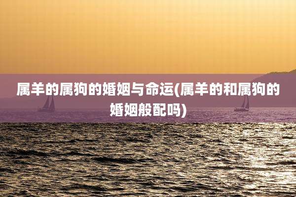 属羊的属狗的婚姻与命运(属羊的和属狗的婚姻般配吗)