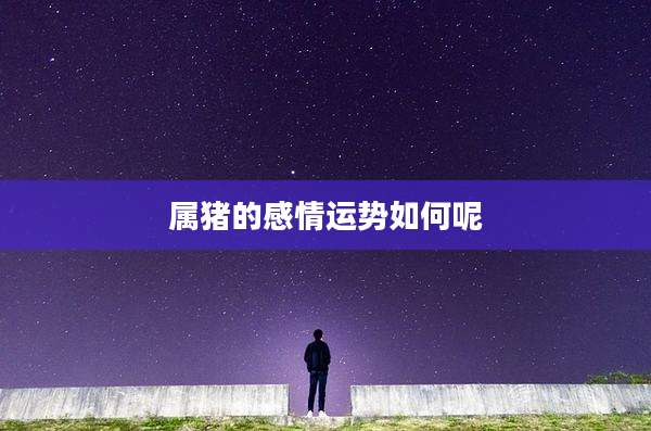 属猪的感情运势如何呢