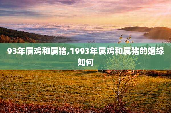93年属鸡和属猪,1993年属鸡和属猪的姻缘如何