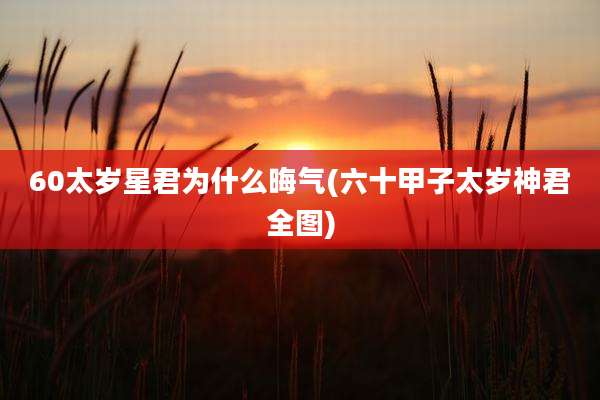 60太岁星君为什么晦气(六十甲子太岁神君全图)