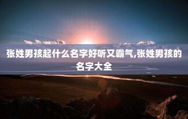 张姓男孩起什么名字好听又霸气,张姓男孩的名字大全