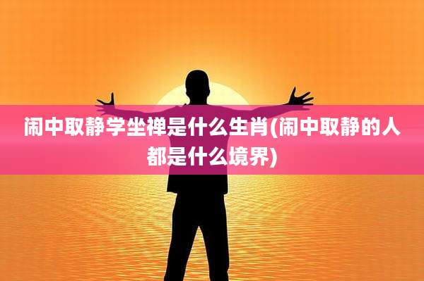 闹中取静学坐禅是什么生肖(闹中取静的人都是什么境界)