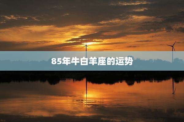 85年牛白羊座的运势