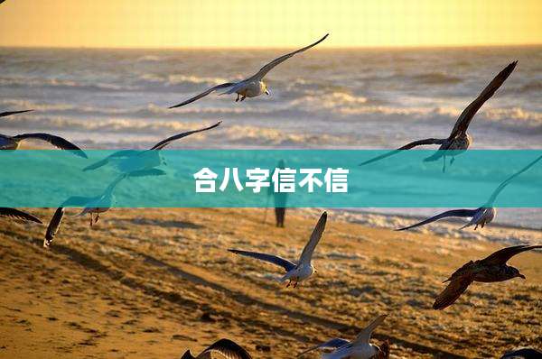 合八字信不信