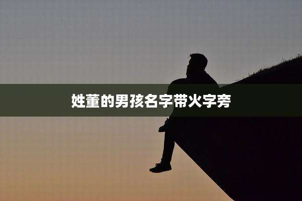 姓董的男孩名字带火字旁