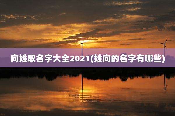 向姓取名字大全2021(姓向的名字有哪些)