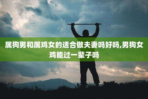 属狗男和属鸡女的适合做夫妻吗好吗,男狗女鸡能过一辈子吗