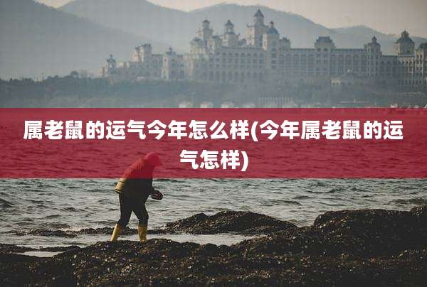 属老鼠的运气今年怎么样(今年属老鼠的运气怎样)