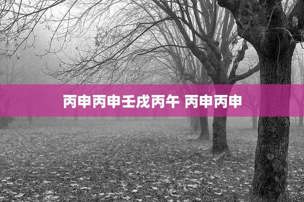 丙申丙申壬戌丙午 丙申丙申