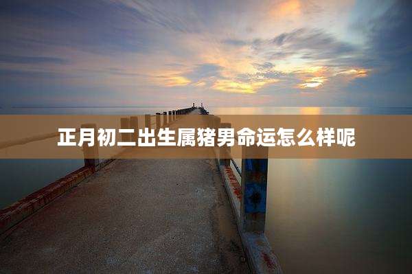 正月初二出生属猪男命运怎么样呢