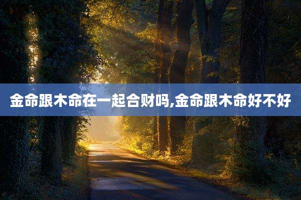 金命跟木命在一起合财吗,金命跟木命好不好