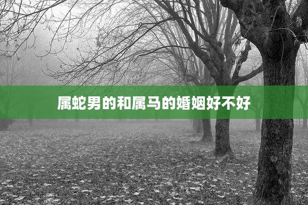 属蛇男的和属马的婚姻好不好