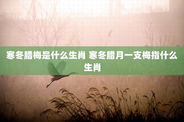 寒冬腊梅是什么生肖 寒冬腊月一支梅指什么生肖