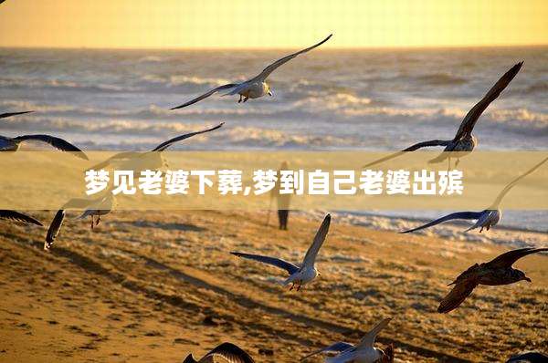 梦见老婆下葬,梦到自己老婆出殡