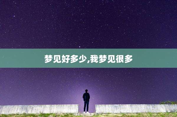 梦见好多少,我梦见很多