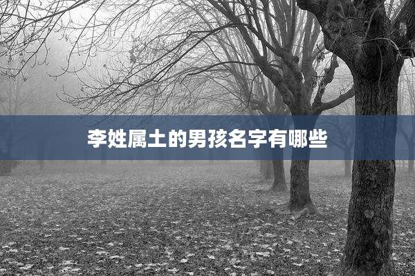 李姓属土的男孩名字有哪些