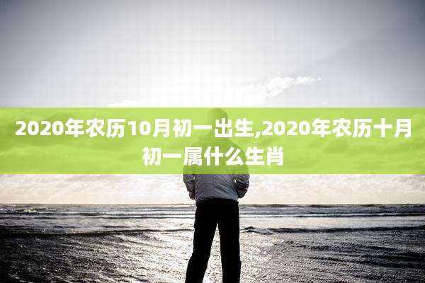 2020年农历10月初一出生,2020年农历十月初一属什么生肖