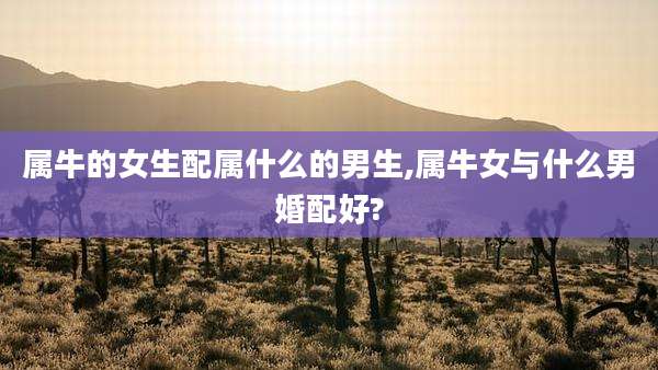属牛的女生配属什么的男生,属牛女与什么男婚配好?