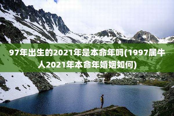 97年出生的2021年是本命年吗(1997属牛人2021年本命年婚姻如何)