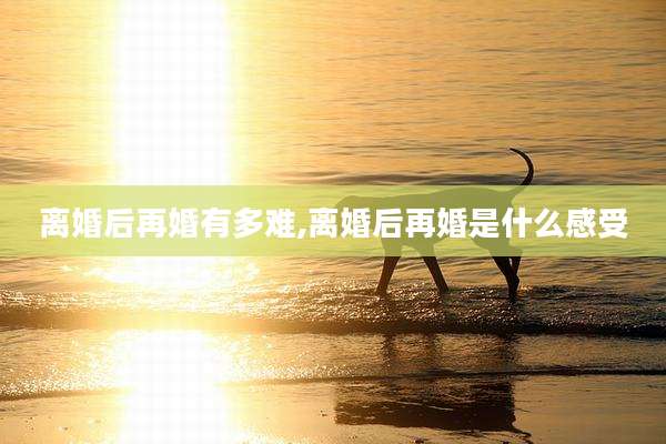离婚后再婚有多难,离婚后再婚是什么感受