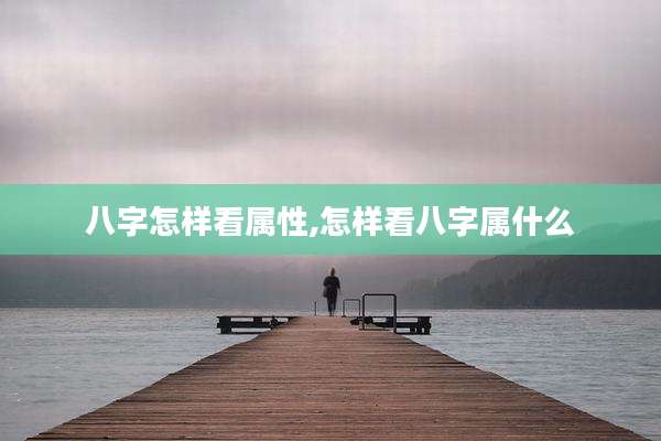 八字怎样看属性,怎样看八字属什么